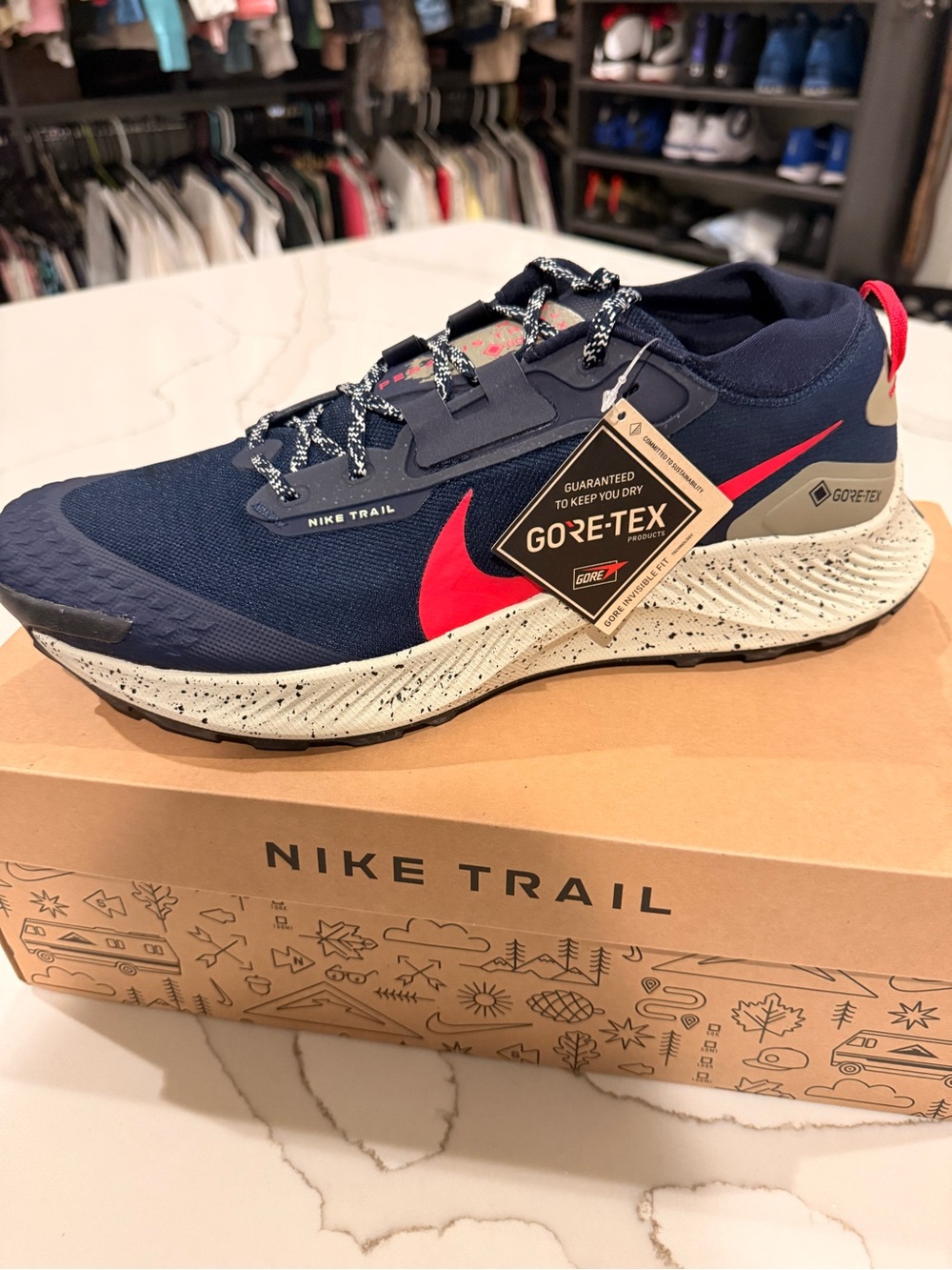 Nike PegasusTrail 3 GORE-TEX